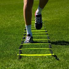 Agility ladder